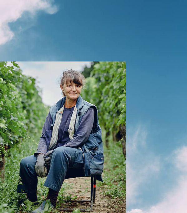 Portrait d'une femme dans les vignes