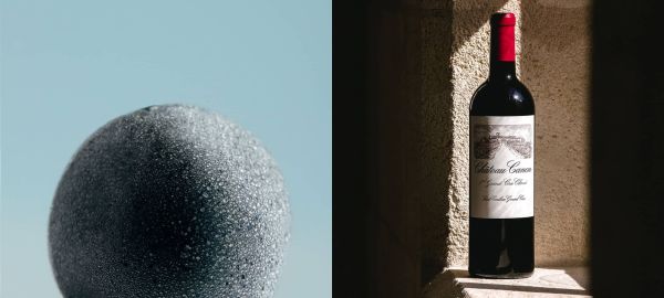 Image coupée en 2 : baie de raisin à gauche et bouteille de vin à droite