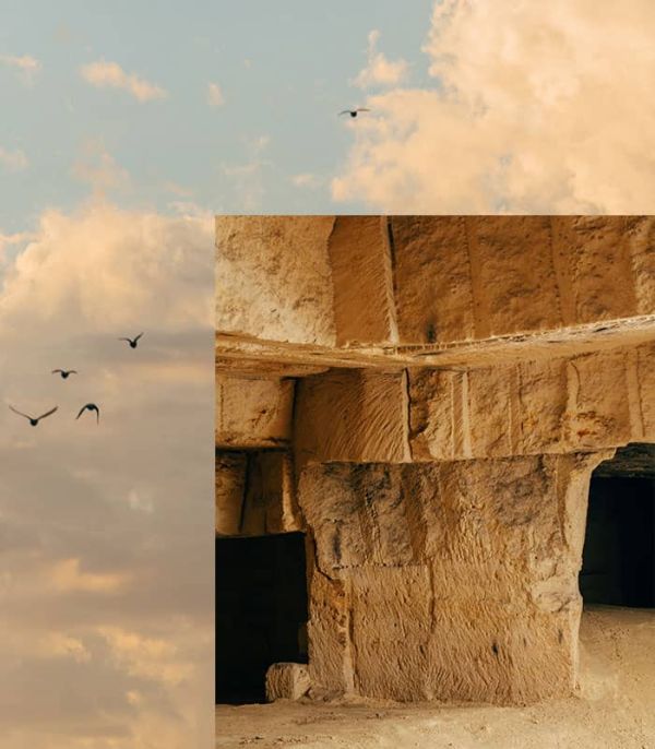 Gros plan sur la texture du sol